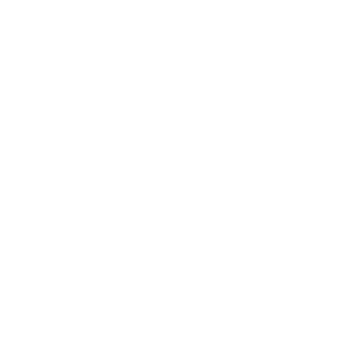 Dealer Socket Logo