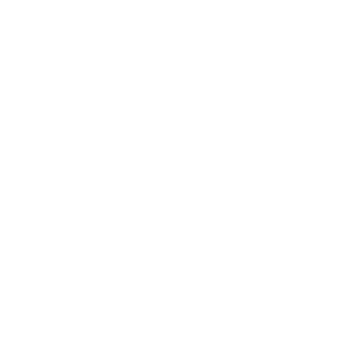 Dealer Track Logo