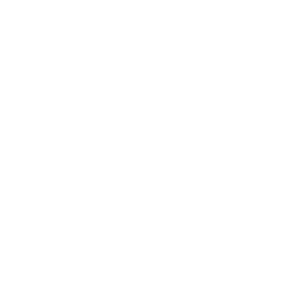 Vin Solutions Logo